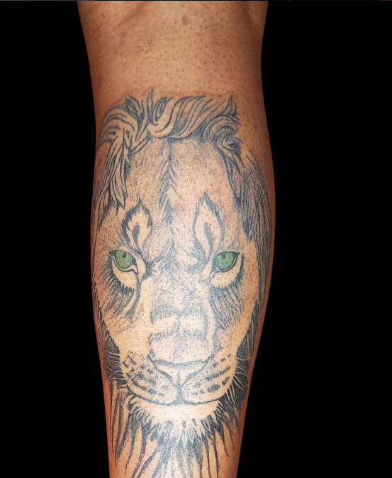 Green-Eyed Lion